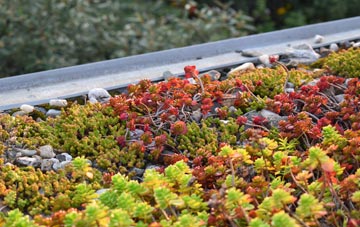 the cost of Brickfields green roof installation